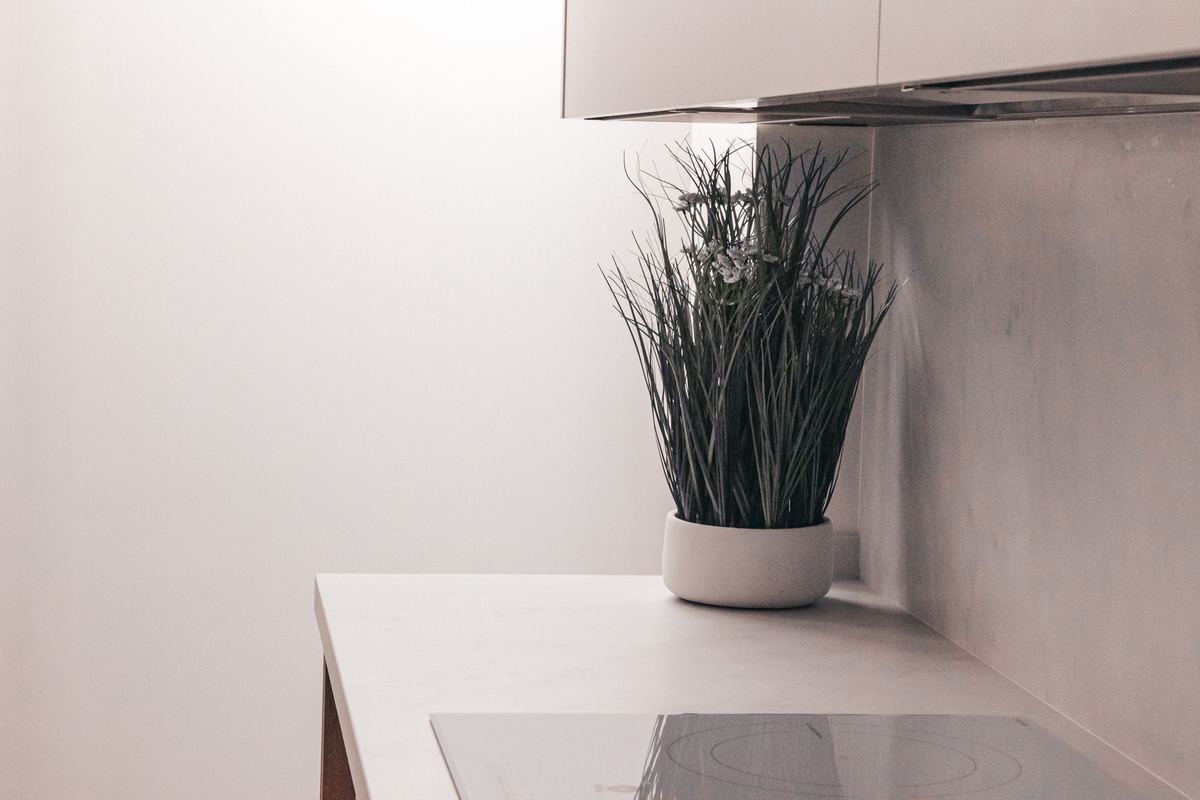 Detall del taulell amb una planta